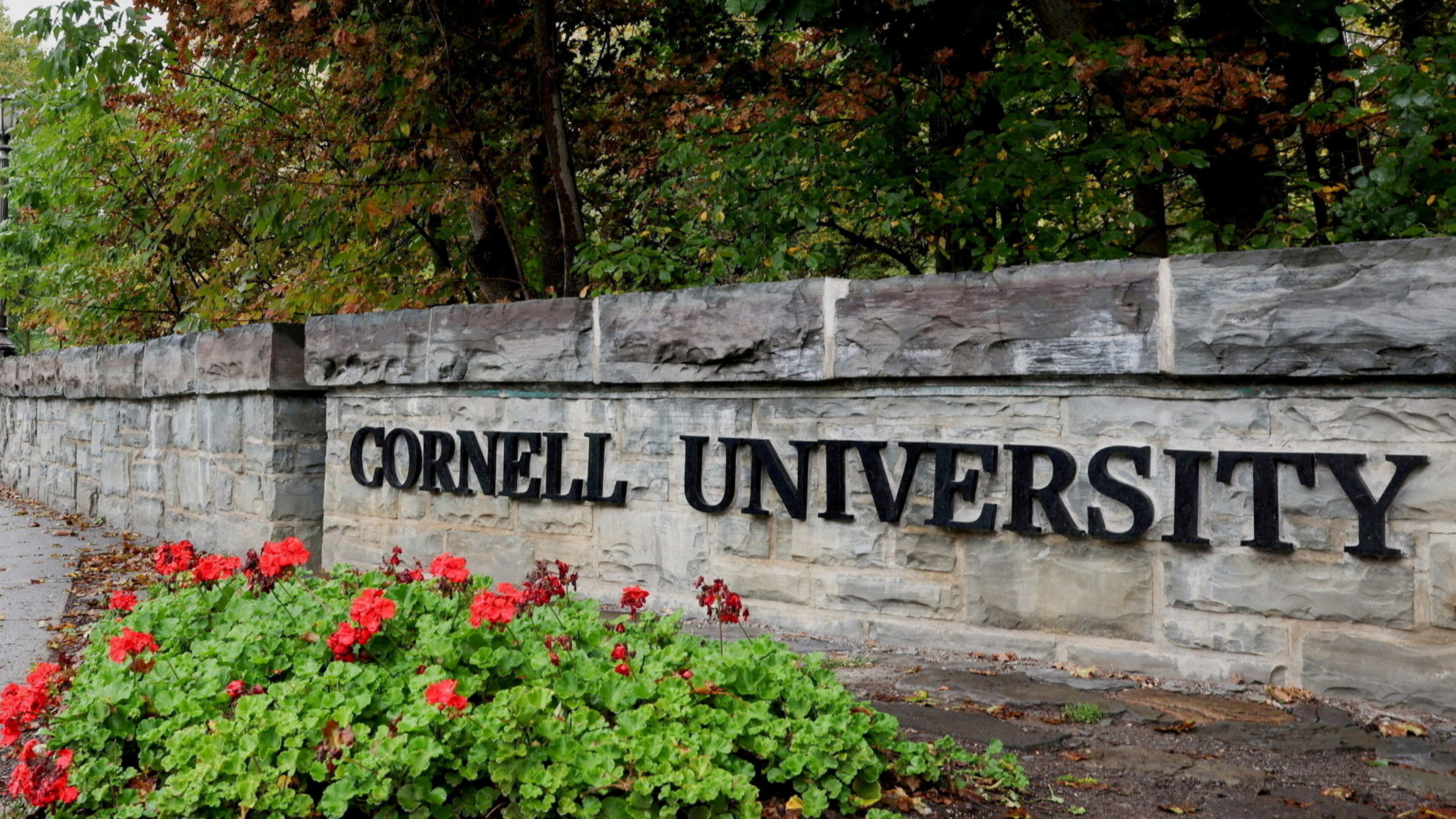 Woman at centre of Cornell rape allegations targeted with threats, lawyer says